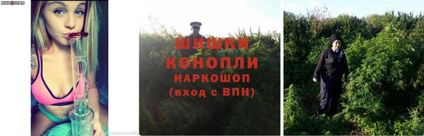 стафф Кинешма