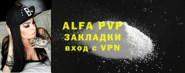 винт Каменка