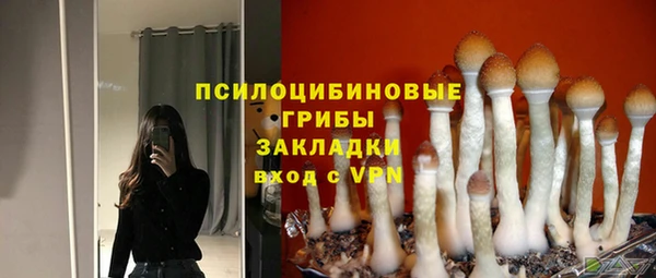 ECSTASY Киреевск