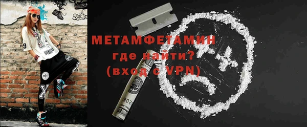 индика Новодвинск