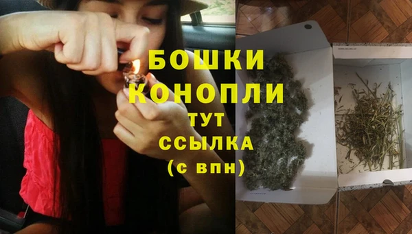 spice Бронницы
