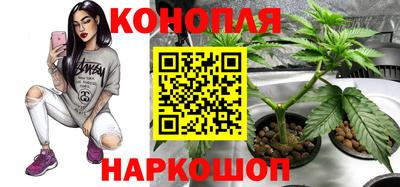 ешки Обь