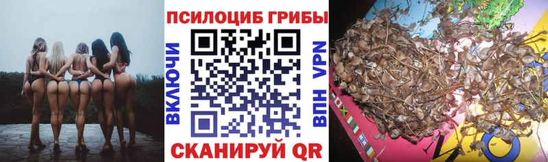 omg онион Шали Галлюциногенные грибы ЛСД