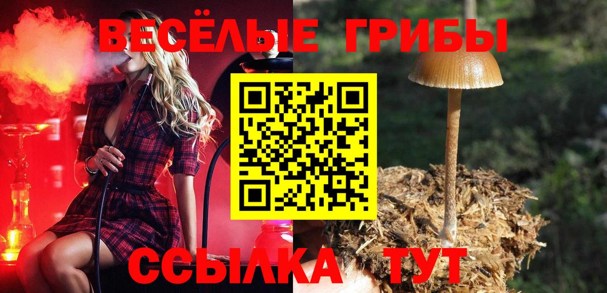 Псилоцибиновые грибы Cubensis  Вход с VPN  Шали 