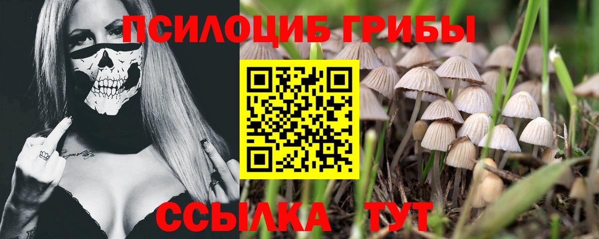 Галлюциногенные грибы прущие грибы Шали