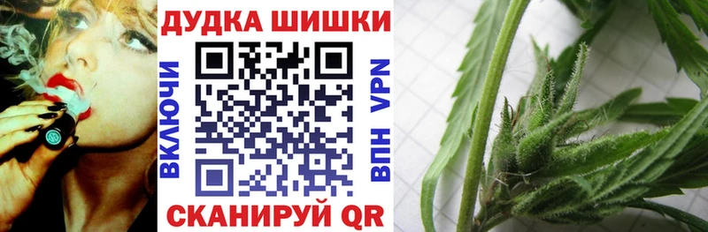 Марихуана сатива Шали